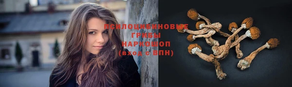 трава Киренск