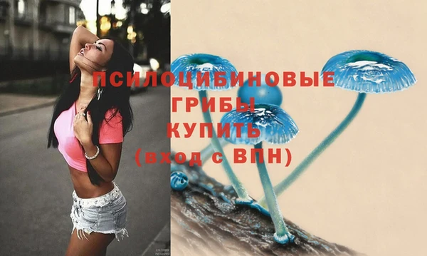 прущая мука Кинешма