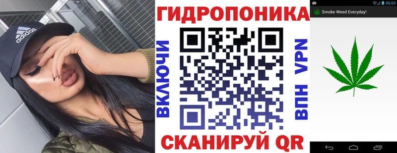 Купить  Петровск  Канабис план 